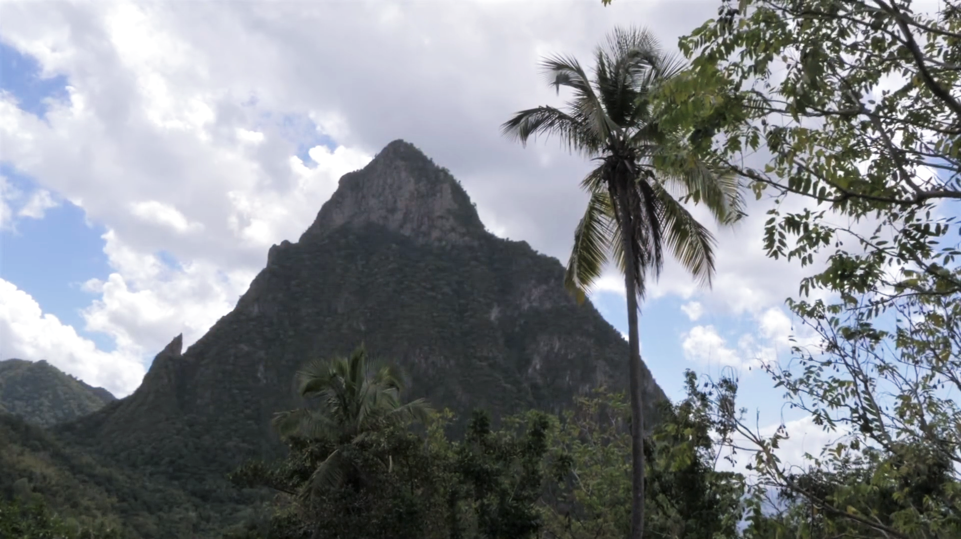 St. Lucia's Jade mountain rises in the background against a cloudy sky. Palm trees can be seen in the foreground.