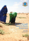 Somalia Drought and Impact Assessment 
