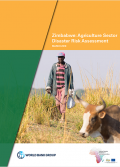 Zimbabwe Agriculture Sector Disaster Risk Assessment Report
