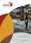 DISASTER RISK MANAGEMENT, SUSTAINABLITY AND URBAN RESILIENCE BROCHURE (DIMSUR)
