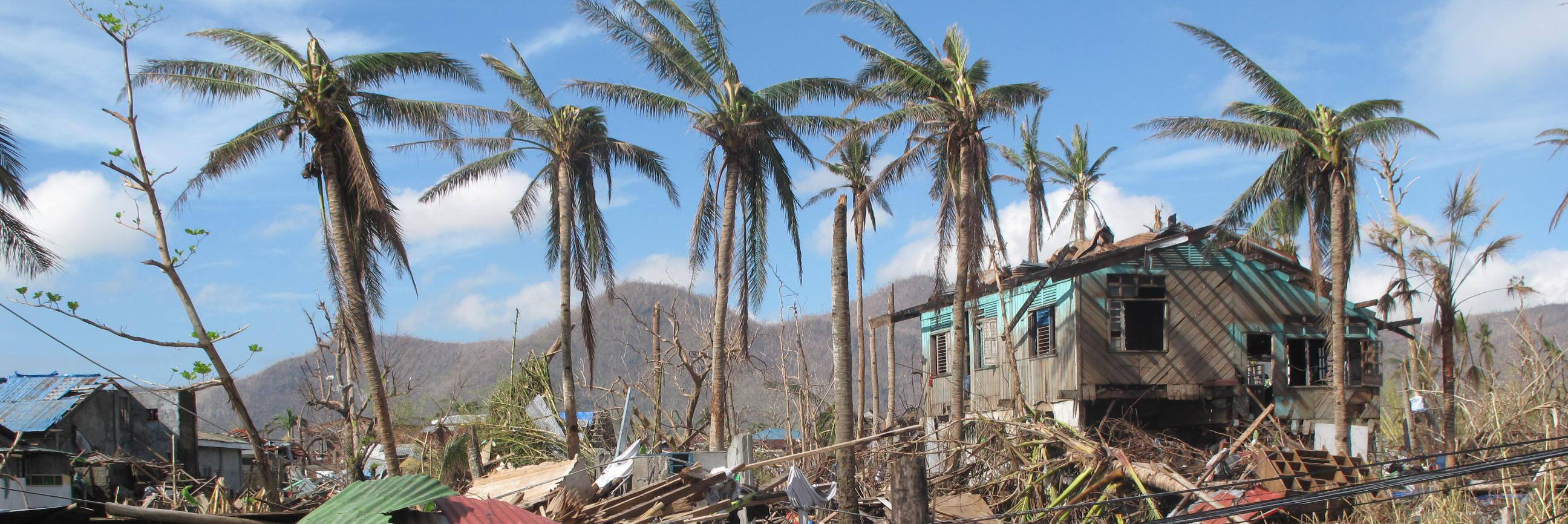 A few palm trees stand near destroyed homes amid the destruction caused by Typhoon Haiyan in 2013 in the city of Tacloban, Philippines