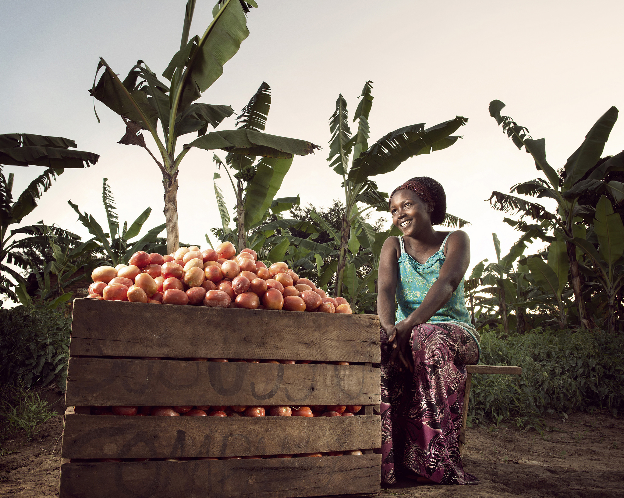 Olivia Nankindu, 27, surveys the fruits of her labor in the waning afternoon sunlight on her farm near Kyotera, Uganda.