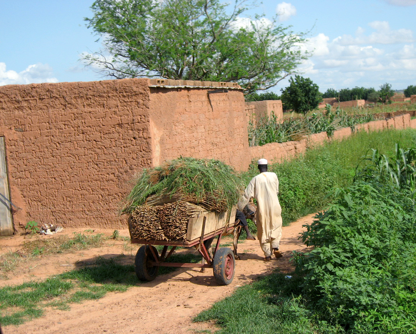 Community Based Disaster Risk Reduction in Niger