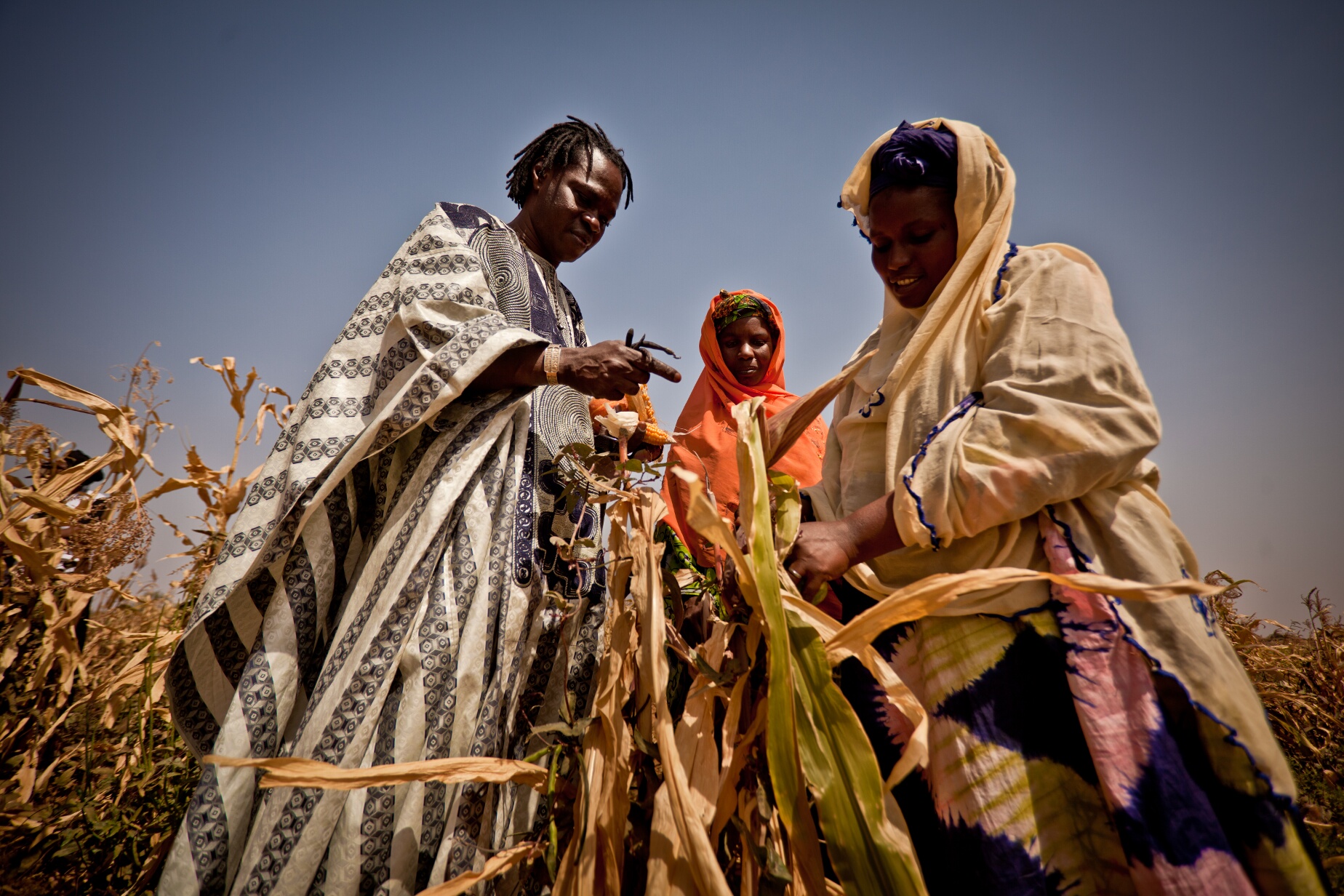 People affected by drought