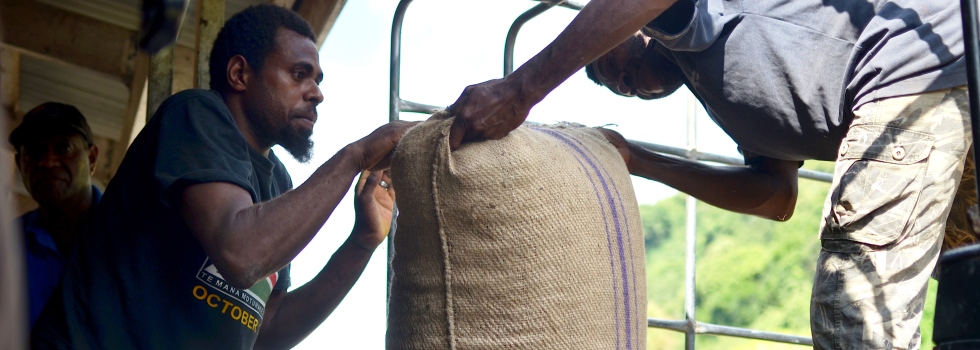 Cocoa farmers in Vanuatu. Credit: World Bank Economies in the Pacific are particularly vulnerable to impacts from natural disasters