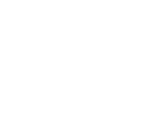 ANNUAL REPORT 2017