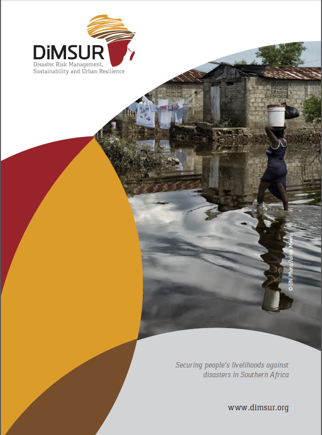DISASTER RISK MANAGEMENT, SUSTAINABLITY AND URBAN RESILIENCE BROCHURE (DIMSUR)