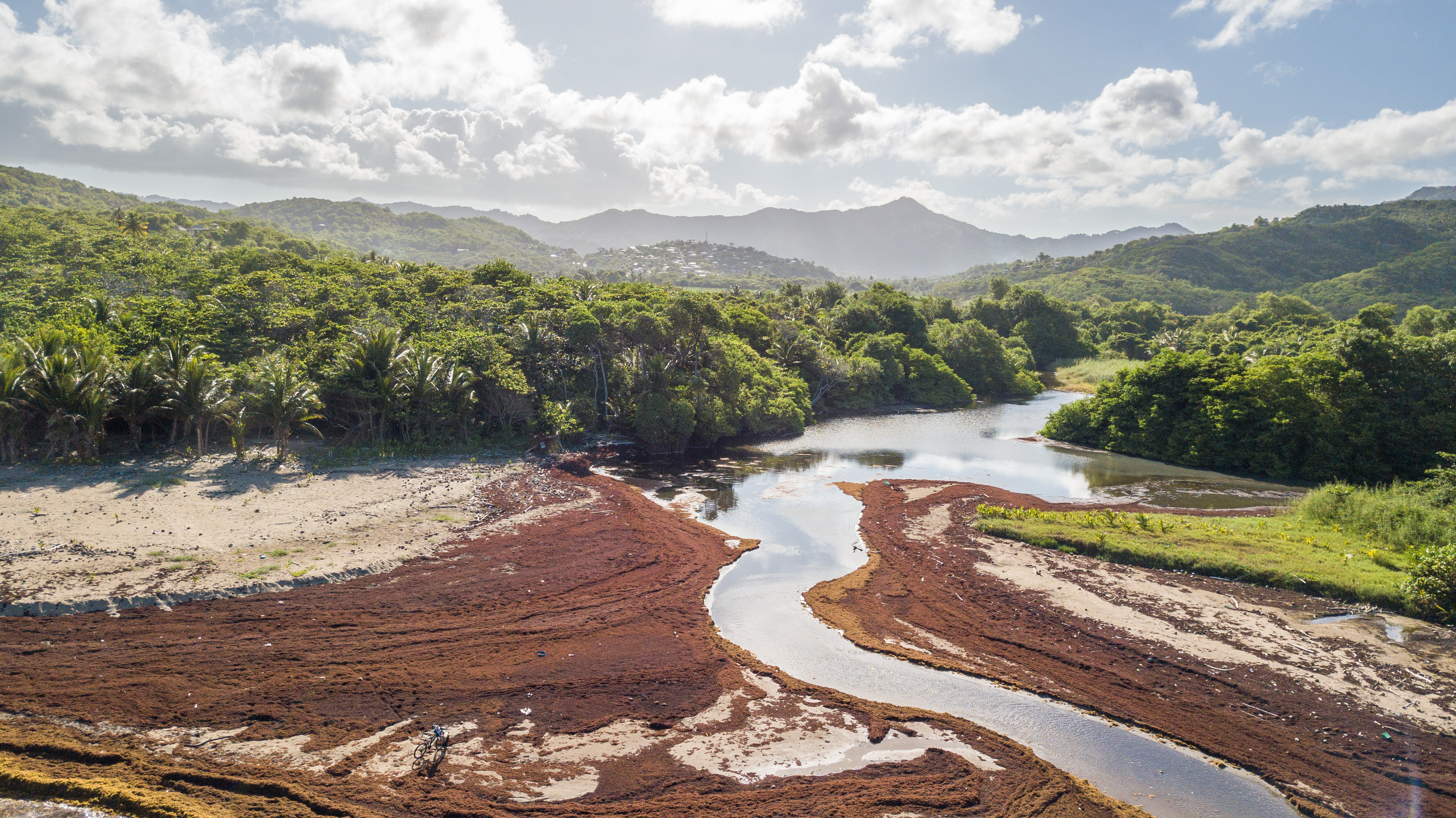 Photo credit: Chris Morgan / World Bank