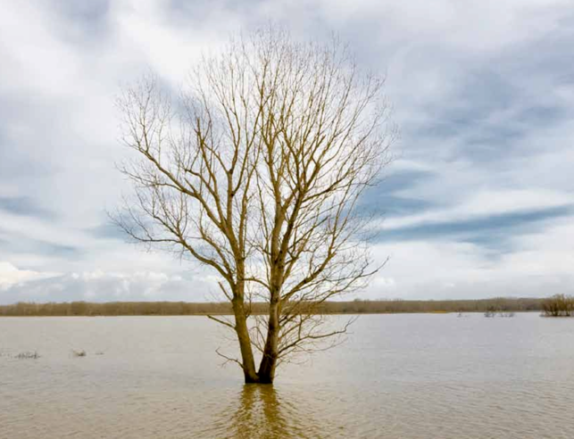 Nigeria Post Floods Needs Assessment 2012