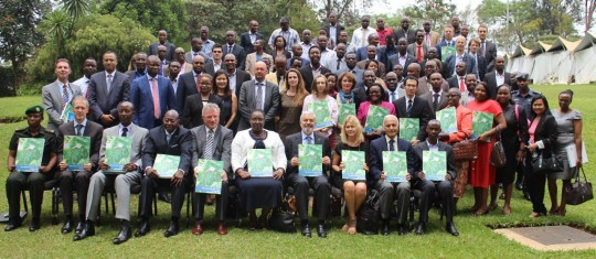 Development of comprehensive disaster risk profiles for enhancing disaster management in Rwanda