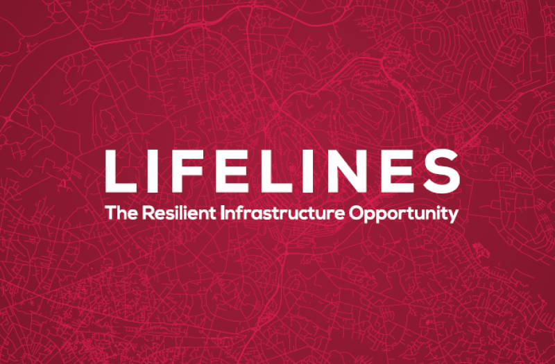 Lifelines
