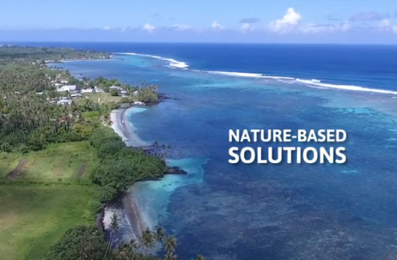 Leveraging Nature-Based Solutions for Climate Resilience