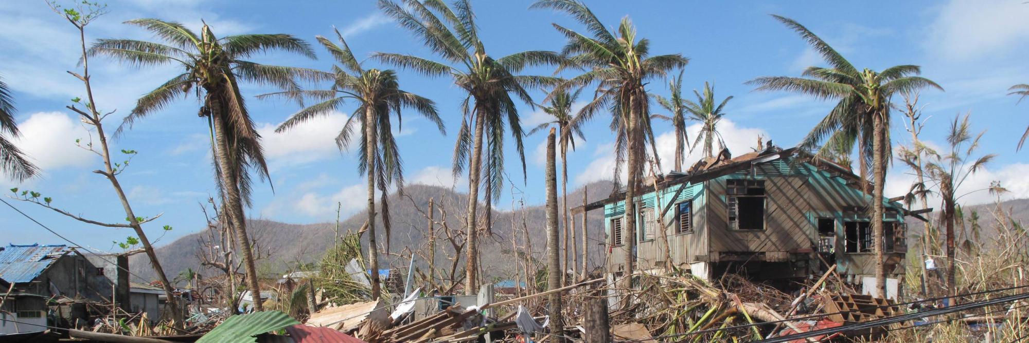 A few palm trees stand near destroyed homes amid the destruction caused by Typhoon Haiyan in 2013 in the city of Tacloban, Philippines