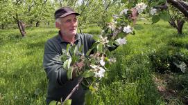 Georgian farmer