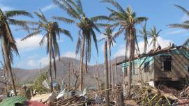 A few palm trees stand near destroyed homes amid the destruction caused by Typhoon Haiyan in 2013 in the city of Tacloban, Philippines