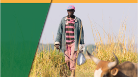 Zimbabwe Agriculture Sector Disaster Risk Assessment Report