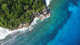 Coast of Seychelles
