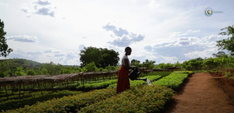 Woman in field