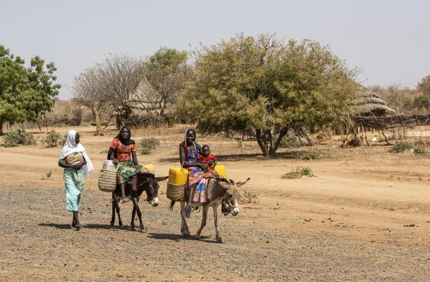 Inclusive Disaster Risk Management and Gender Equality