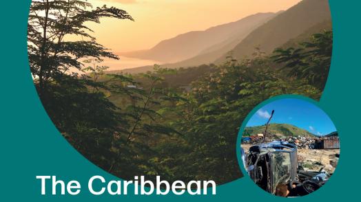 The Caribbean Regional Resilience Building Facility