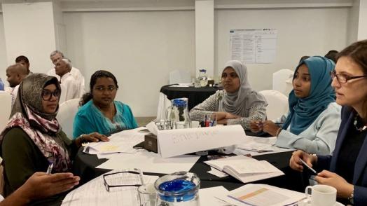 Building Regulations for Resilience in Sri Lanka & The Maldives