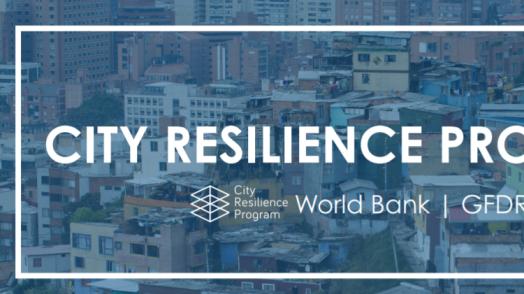 Brief: City Resilience Program