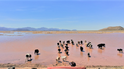 The case for equity to reduce disaster risk: An analysis of Bolivia