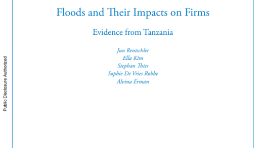 Floods and Their Impacts on Firms: Evidence from Tanzania