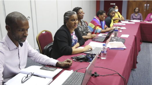 Disaggregated data for focused development programs