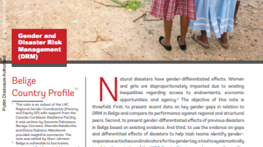 Belize: Gender and Disaster Risk Management (DRM) (English)