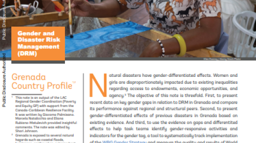 Grenada: Gender and Disaster Risk Management (DRM) (English)