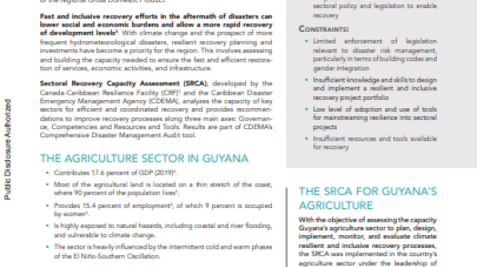 Sectoral Recovery Capacity Assessment for Guyana’s Agriculture Sector (English)