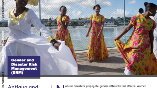 Antigua and Barbuda: Gender and Disaster Risk Management (DRM) (English)