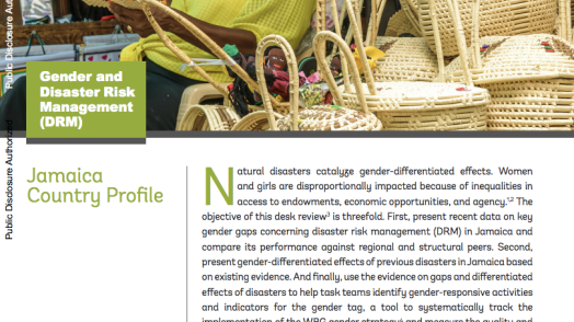 Jamaica: Gender and Disaster Risk Management (DRM) (English)