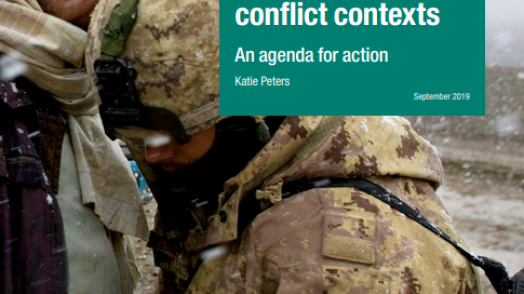 Disaster risk reduction in conflict contexts: an agenda for action