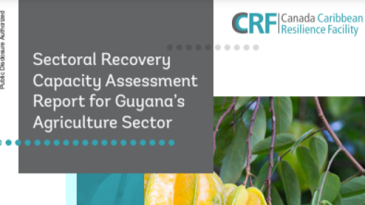 Sectoral Recovery Capacity Assessment Report for Guyana’s Agriculture Sector