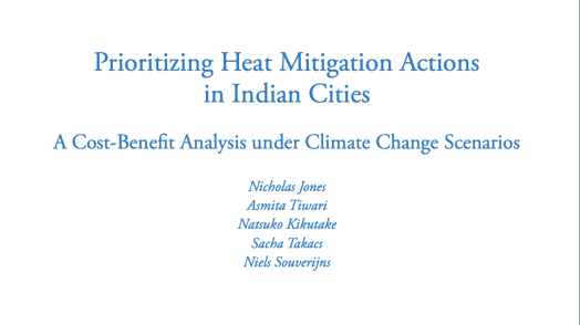 Prioritizing Heat Mitigation Actions in Indian Cities