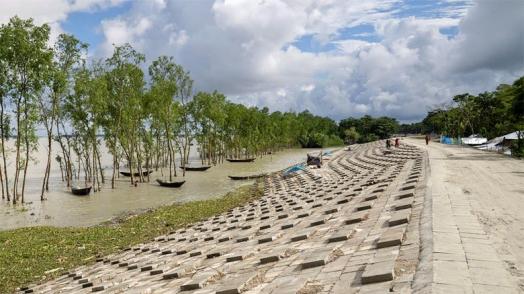 Climate Action Game Changers: Adaptation to Climate Shocks