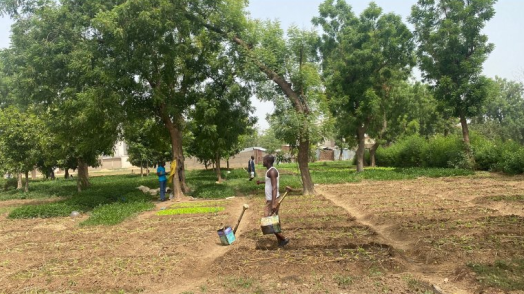 Photo credit: World Bank