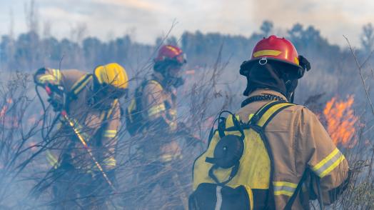 Strengthening Wildfire Management in Argentina