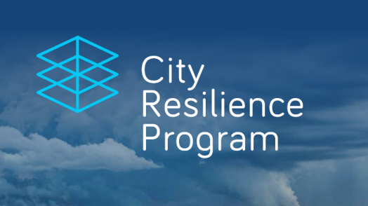 City Resilience Program: Annual Report July 2019 – June 2020 