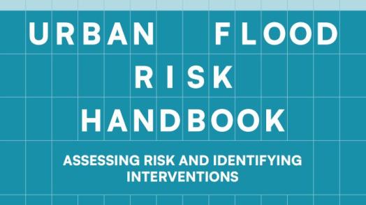 Urban Flood Risk Handbook: Assessing Risk and Identifying Interventions