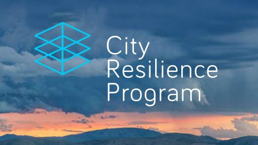 City Resilience Program: Annual Report July 2019 – June 2020 