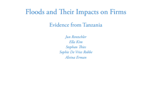 Floods and Their Impacts on Firms: Evidence from Tanzania