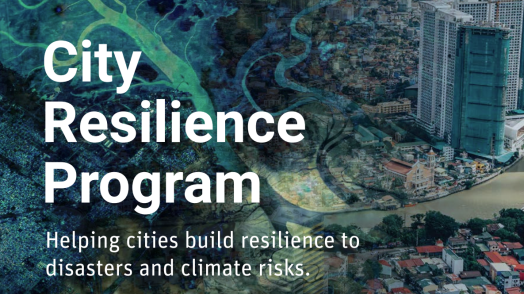 Brief: City Resilience Program