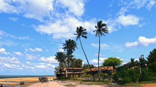 Building homes back better in Mozambique
