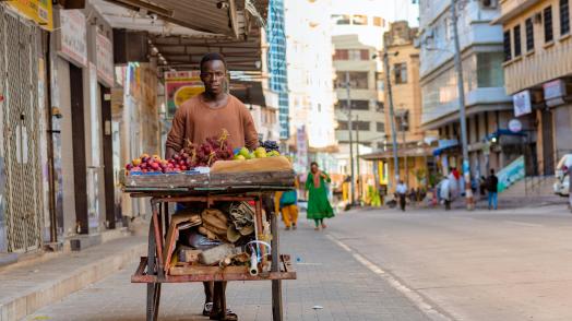 Frameworks for Resilience in Dar es Salaam: Progress on the Ground