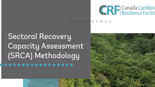 Sectoral Recovery Capacity Assessment (SRCA) Methodology