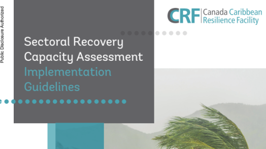 Sectoral Recovery Capacity Assessment Implementation Guidelines