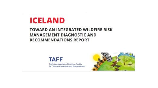 Towards an Integrated Wildfire Risk Management Diagnostic and Recommendations Report